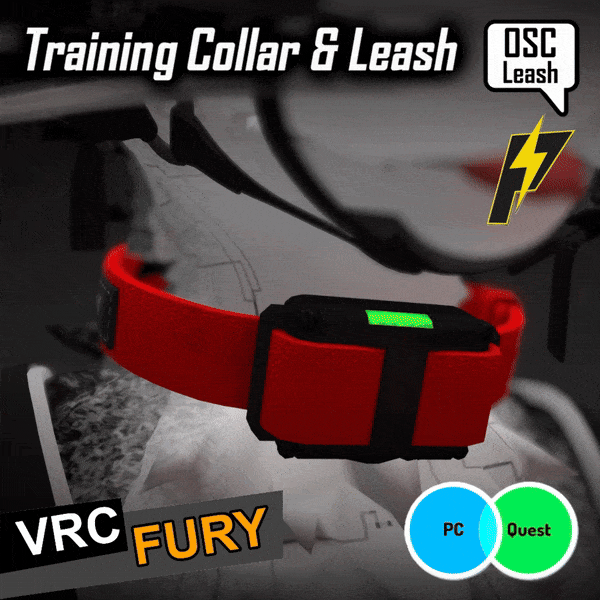Training Collar & Leash